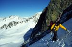 Jack, Wedge Mt., Britska Kolumbie